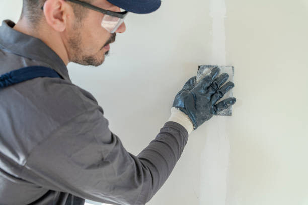 Best Drywall Removal and Disposal  in Sebewaing, MI